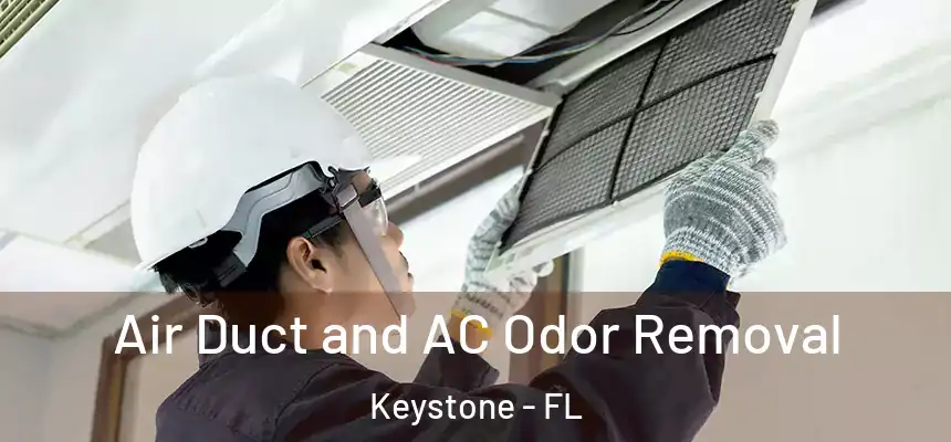  Air Duct and AC Odor Removal Keystone - FL