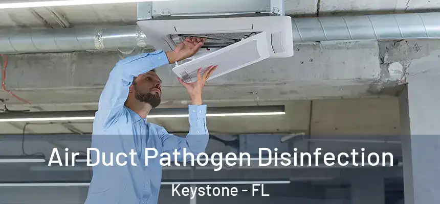 Air Duct Pathogen Disinfection Keystone - FL