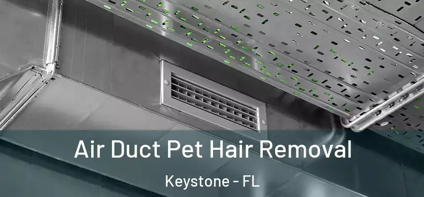 Air Duct Pet Hair Removal Keystone - FL