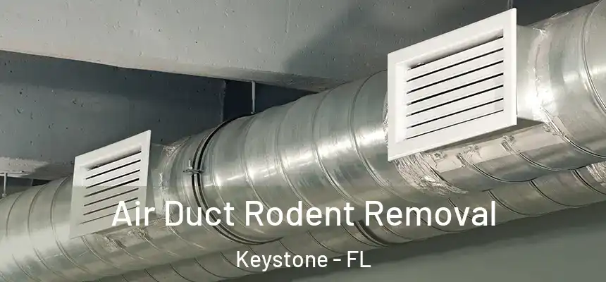 Air Duct Rodent Removal Keystone - FL