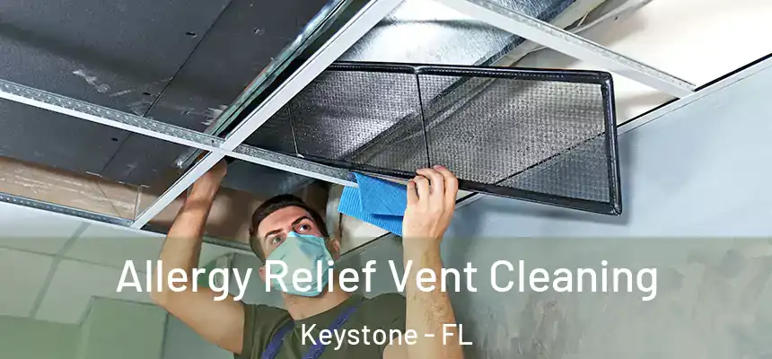  Allergy Relief Vent Cleaning Keystone - FL
