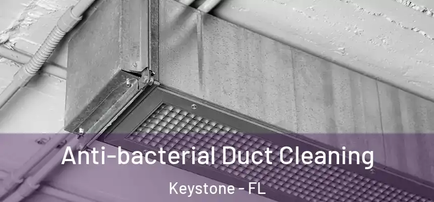 Anti-bacterial Duct Cleaning Keystone - FL