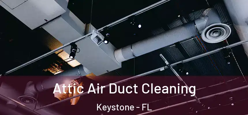  Attic Air Duct Cleaning Keystone - FL