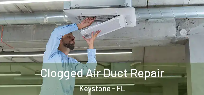  Clogged Air Duct Repair Keystone - FL