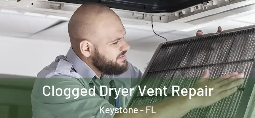  Clogged Dryer Vent Repair Keystone - FL