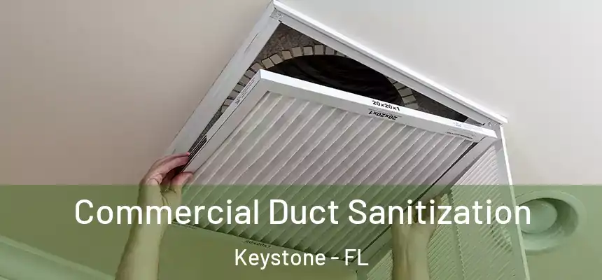 Commercial Duct Sanitization Keystone - FL