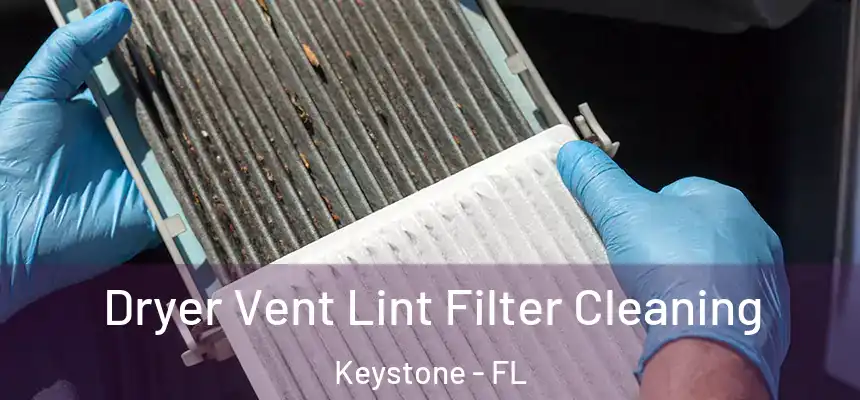 Dryer Vent Lint Filter Cleaning Keystone - FL