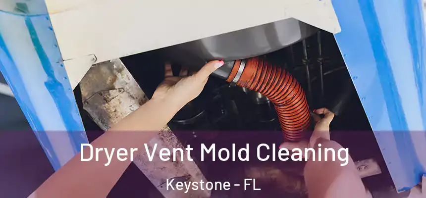  Dryer Vent Mold Cleaning Keystone - FL