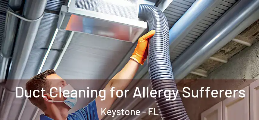 Duct Cleaning for Allergy Sufferers Keystone - FL