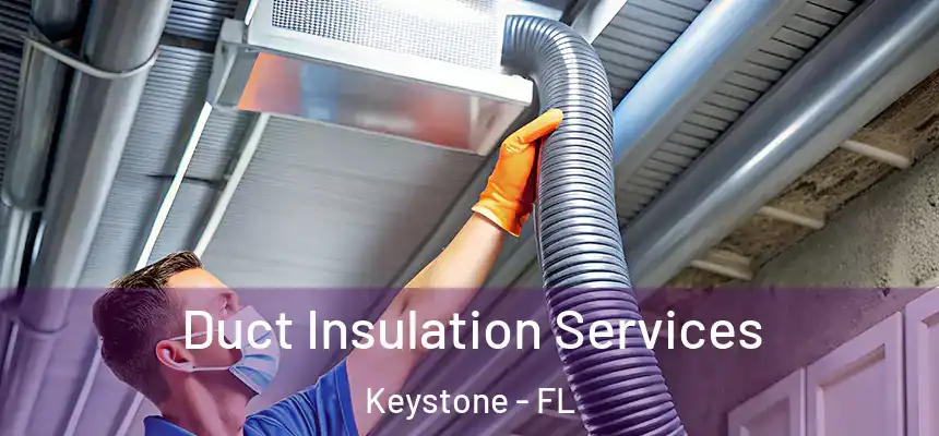 Duct Insulation Services Keystone - FL