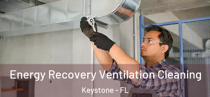 Energy Recovery Ventilation Cleaning Keystone - FL