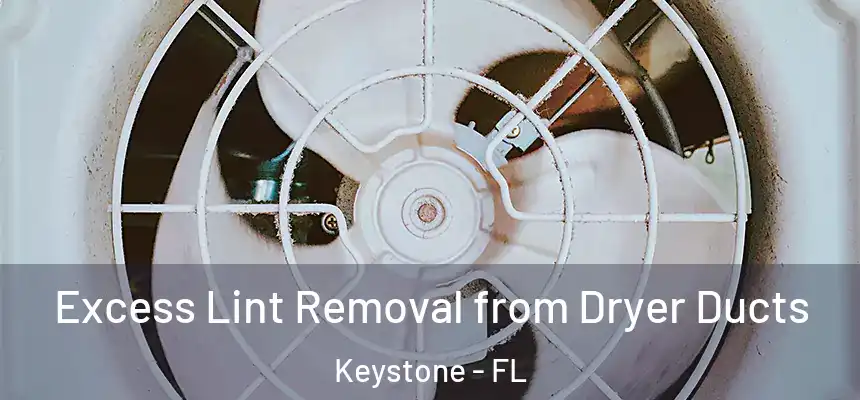 Excess Lint Removal from Dryer Ducts Keystone - FL