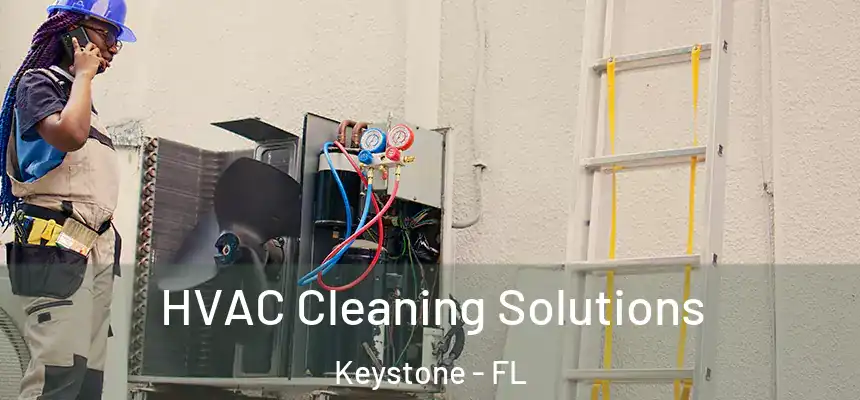  HVAC Cleaning Solutions Keystone - FL
