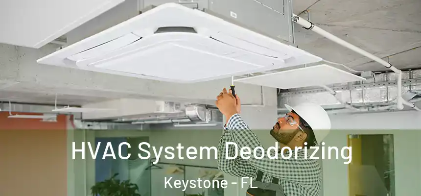 HVAC System Deodorizing Keystone - FL