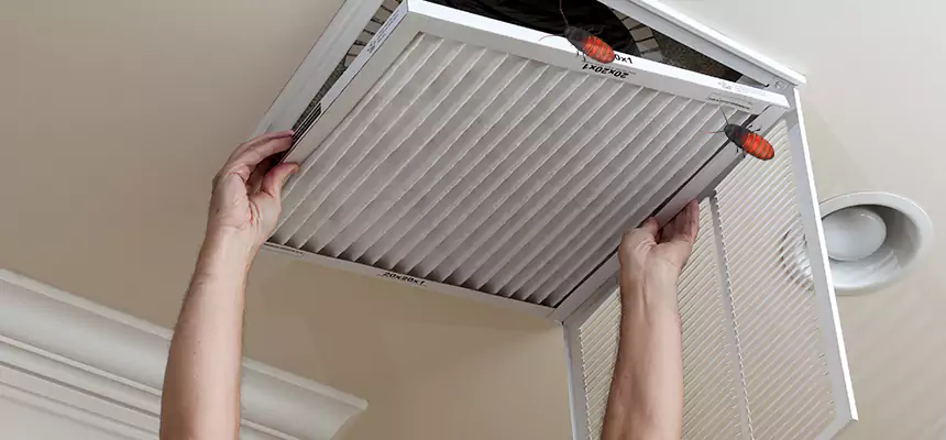 Preventive Cockroach-Proofing for Ducts in Keystone