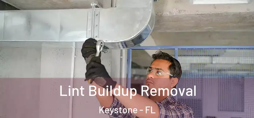  Lint Buildup Removal Keystone - FL