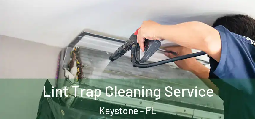  Lint Trap Cleaning Service Keystone - FL
