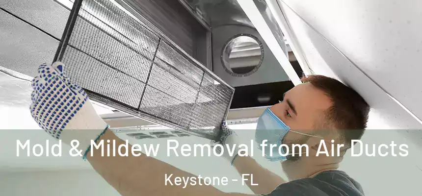 Mold & Mildew Removal from Air Ducts Keystone - FL