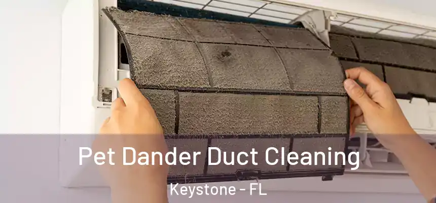 Pet Dander Duct Cleaning Keystone - FL