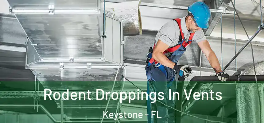 Rodent Droppings In Vents Keystone - FL