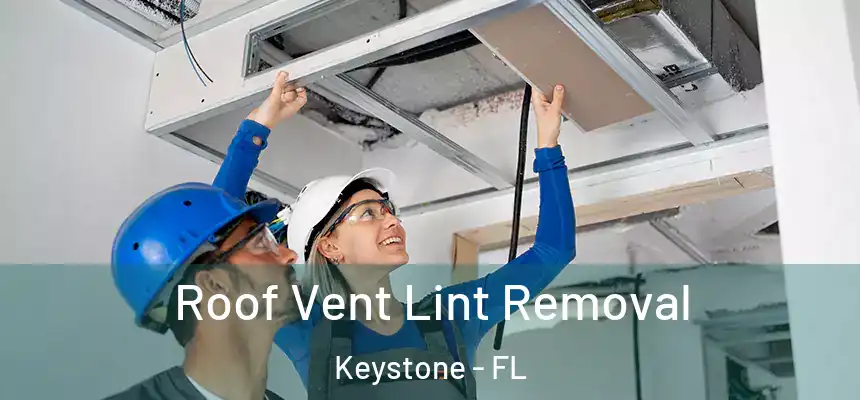 Roof Vent Lint Removal Keystone - FL