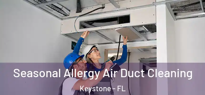Seasonal Allergy Air Duct Cleaning Keystone - FL