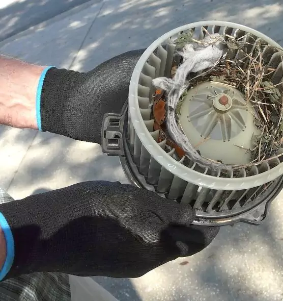 About Air Duct Rat Removal in Keystone, FL