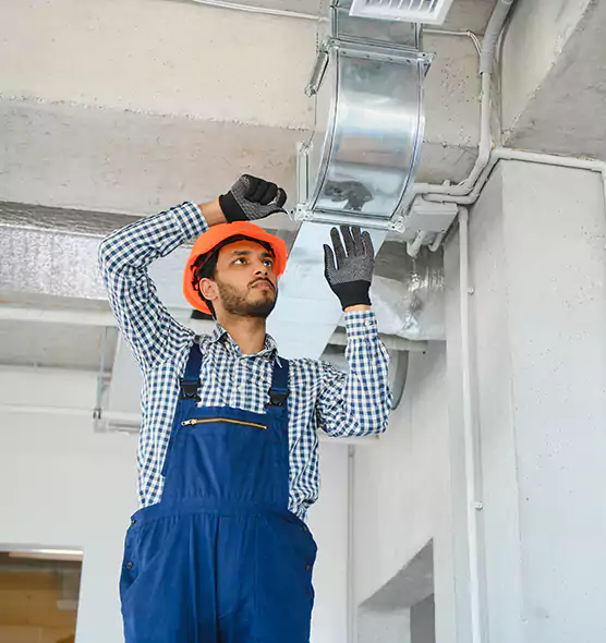 Affordable Lint Buildup Removal in Keystone, FL