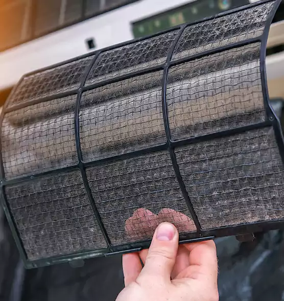 About Pet Dander Duct Cleaning in Keystone, FL