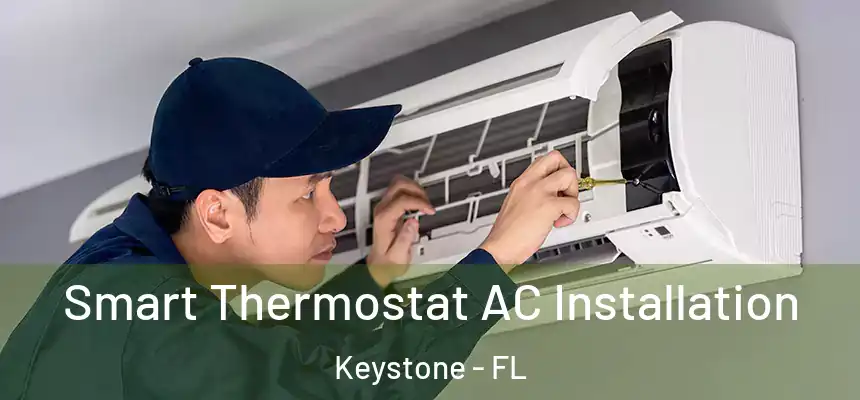 Smart Thermostat AC Installation Keystone - FL
