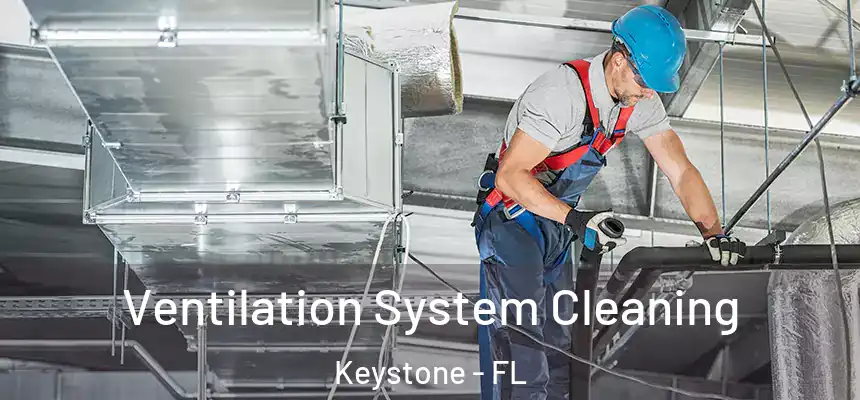 Ventilation System Cleaning Keystone - FL
