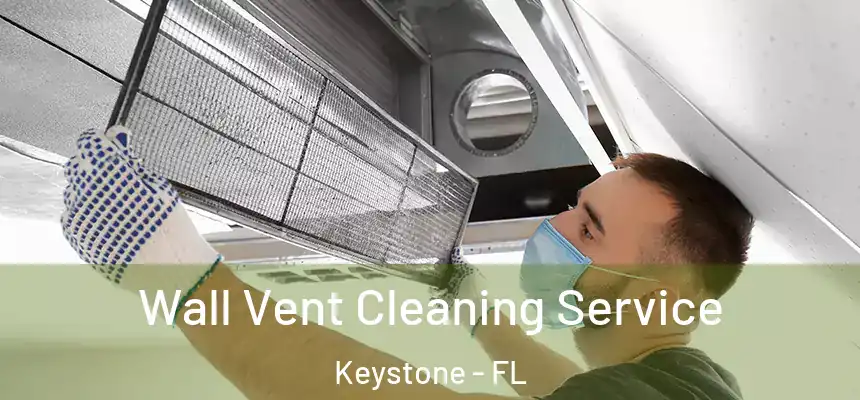 Wall Vent Cleaning Service Keystone - FL
