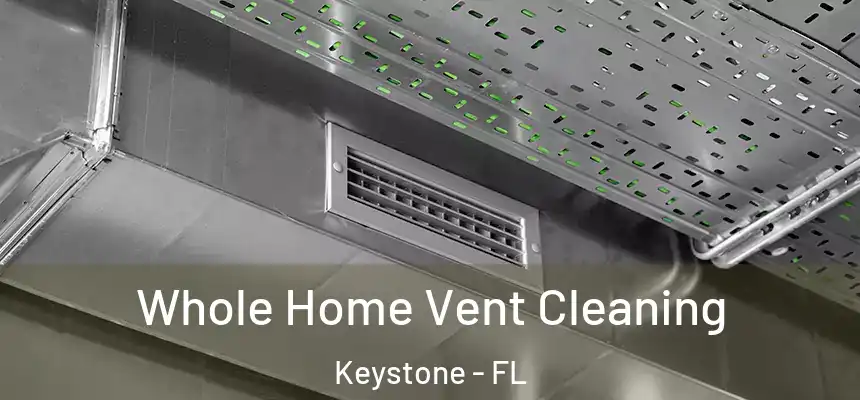  Whole Home Vent Cleaning Keystone - FL